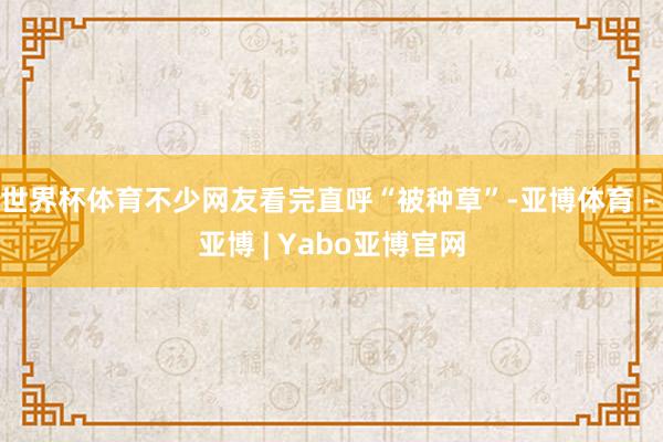 世界杯体育不少网友看完直呼“被种草”-亚博体育 - 亚博 | Yabo亚博官网