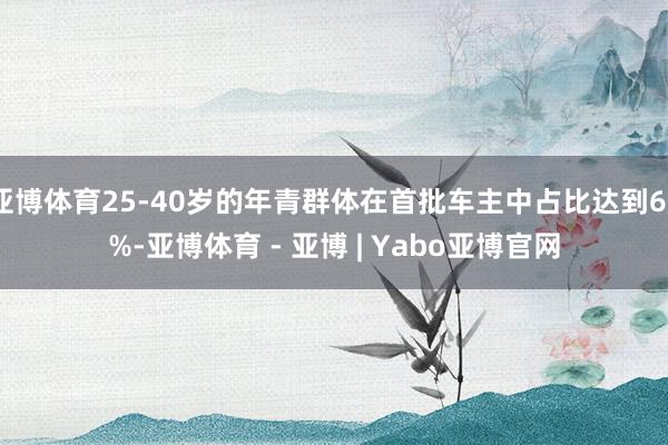 亚博体育25-40岁的年青群体在首批车主中占比达到60%-亚博体育 - 亚博 | Yabo亚博官网