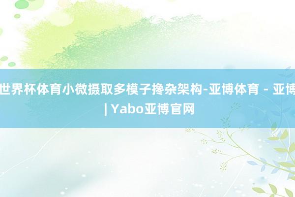 世界杯体育小微摄取多模子搀杂架构-亚博体育 - 亚博 | Yabo亚博官网