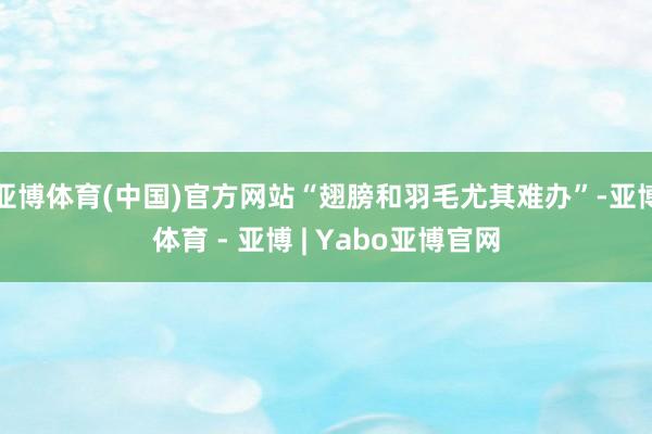 亚博体育(中国)官方网站“翅膀和羽毛尤其难办”-亚博体育 - 亚博 | Yabo亚博官网