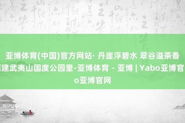 亚博体育(中国)官方网站· 丹崖浮碧水 翠谷溢茶香 福建武夷山国度公园里-亚博体育 - 亚博 | Yabo亚博官网