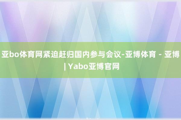 亚bo体育网紧迫赶归国内参与会议-亚博体育 - 亚博 | Yabo亚博官网