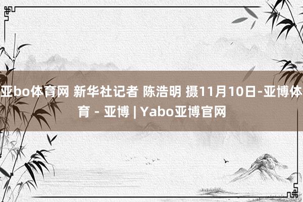 亚bo体育网 新华社记者 陈浩明 摄11月10日-亚博体育 - 亚博 | Yabo亚博官网