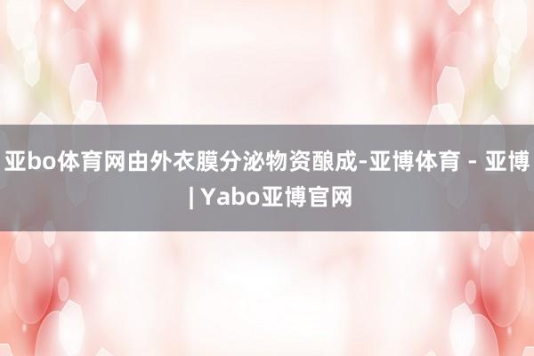 亚bo体育网由外衣膜分泌物资酿成-亚博体育 - 亚博 | Yabo亚博官网