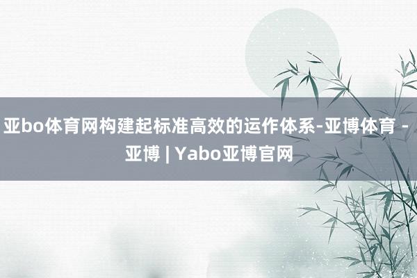 亚bo体育网构建起标准高效的运作体系-亚博体育 - 亚博 | Yabo亚博官网