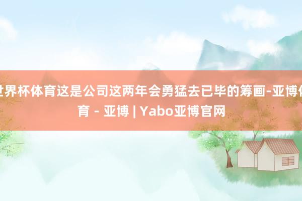 世界杯体育这是公司这两年会勇猛去已毕的筹画-亚博体育 - 亚博 | Yabo亚博官网